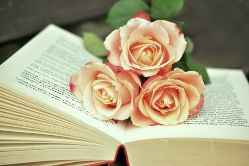 La Vie En Rose(장미빛 인생)_Eb Key