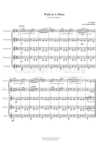 Waltz in A minor for Clarinet Quintet