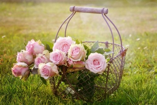 The Rose_Cl Quintet&Piano