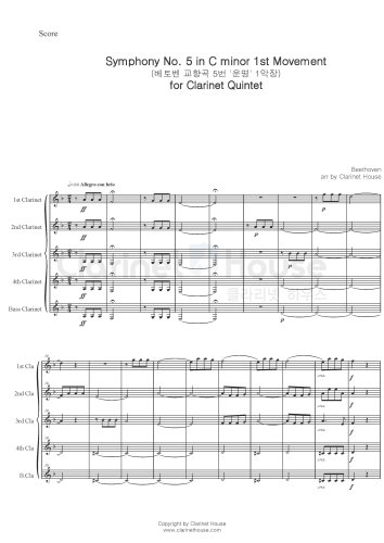 운명 교향곡 1악장 (Symphony No.5 in C minor 1st  Mov)