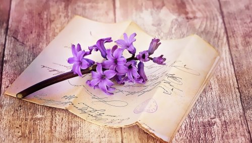 사계 중 봄(1악장 La Primavera)