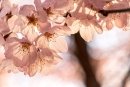 최근 본 상품 1751