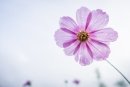 최근 본 상품 1304