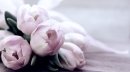 최근 본 상품 2020