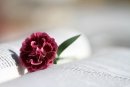 최근 본 상품 1316
