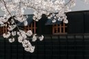 최근 본 상품 1100